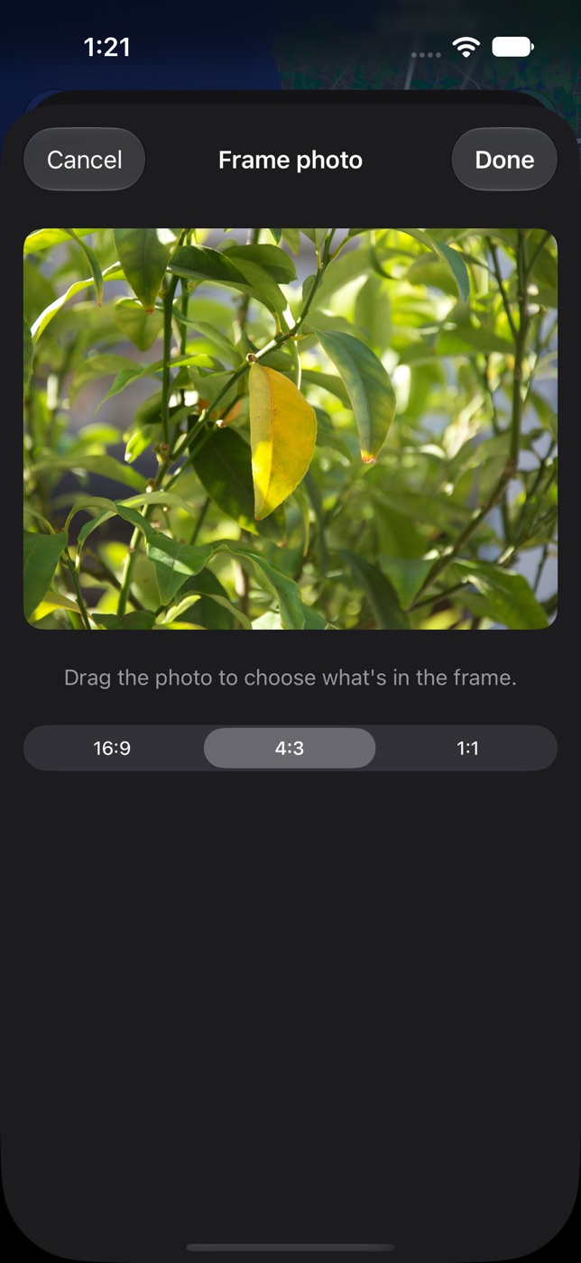 Frame photo screen with 16:9, 4:3 and 1:1 choices
